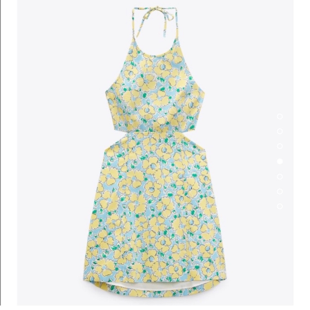 Zara Floral Print Cut Out Dress - Picture 14 of 15
